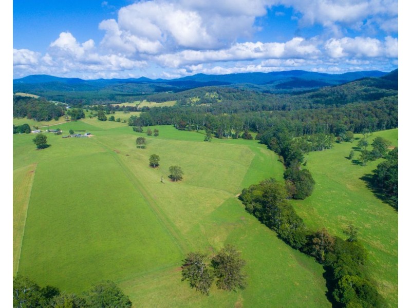 54 Foxs Road, Rollands Plains NSW 2441