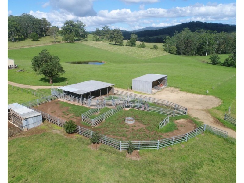 54 Foxs Road, Rollands Plains NSW 2441