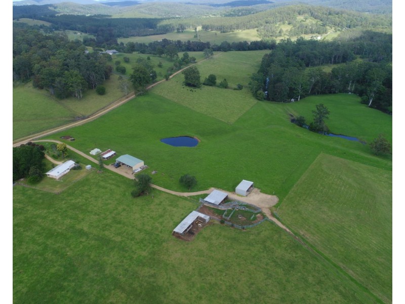 54 Foxs Road, Rollands Plains NSW 2441