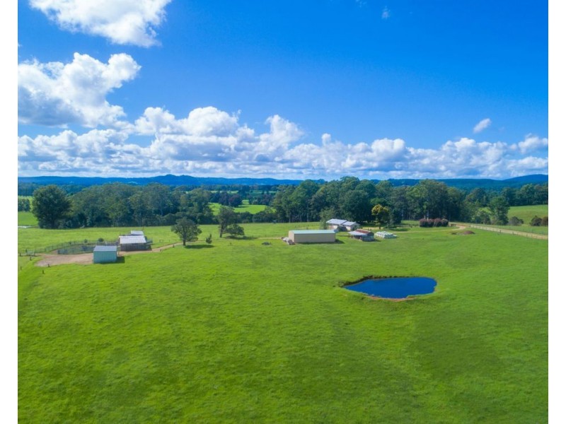 54 Foxs Road, Rollands Plains NSW 2441