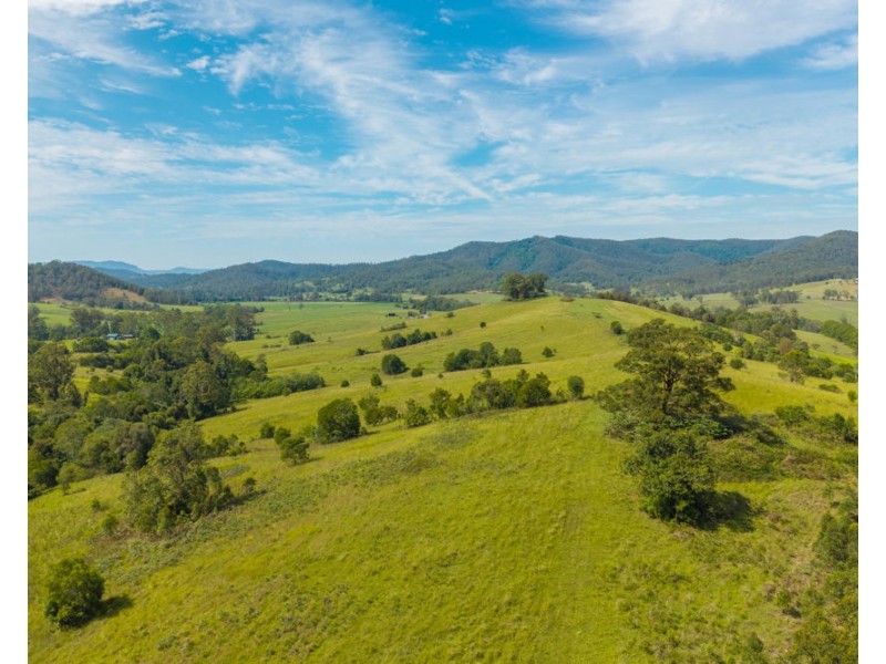 Lots 171 & 172 Calara Lane, Hollisdale NSW 2446
