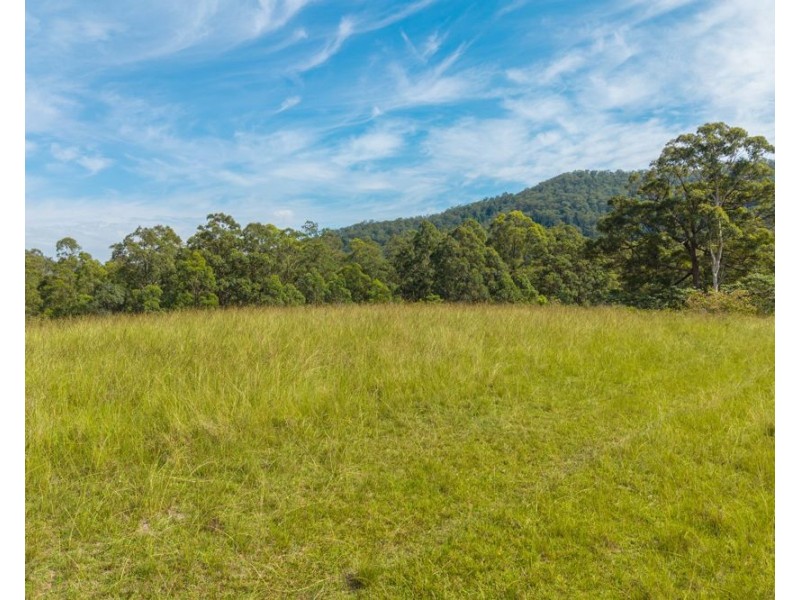 Lots 171 & 172 Calara Lane, Hollisdale NSW 2446
