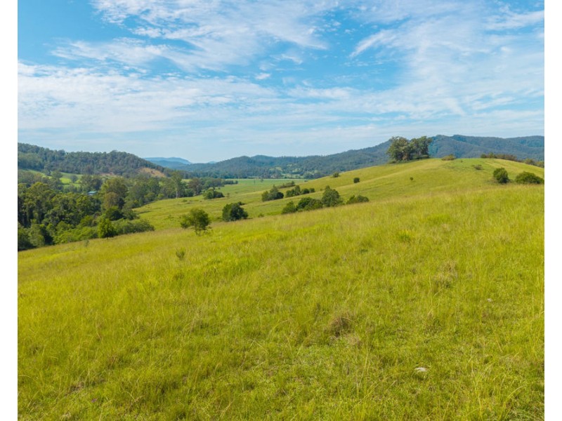 Lots 171 & 172 Calara Lane, Hollisdale NSW 2446