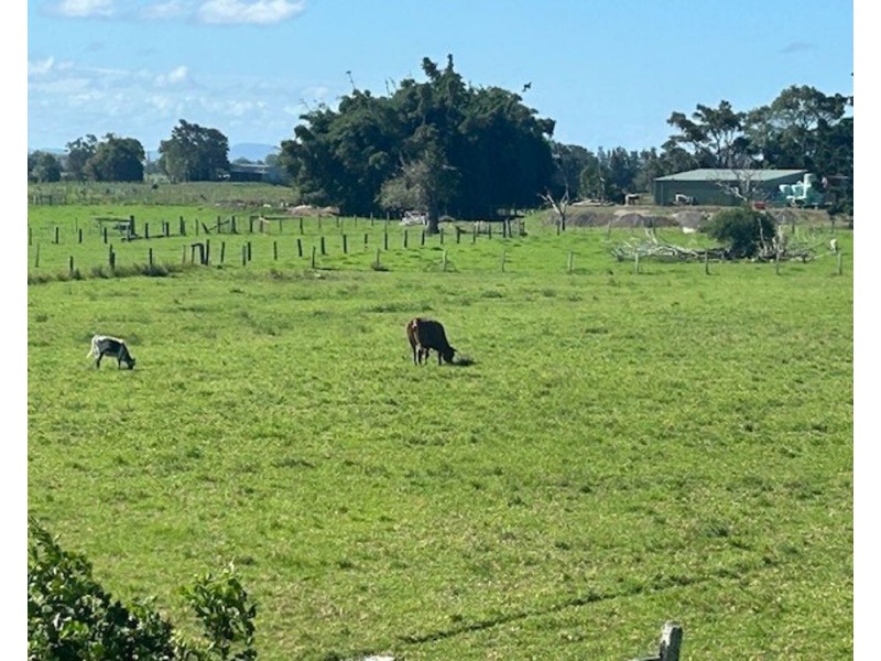 722 Kinchela Creek Left Bank Rd, Kinchela NSW 2440