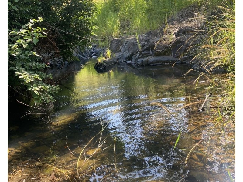 222 Pappinbarra Road Left Arm, Upper Pappinbarra NSW 2446