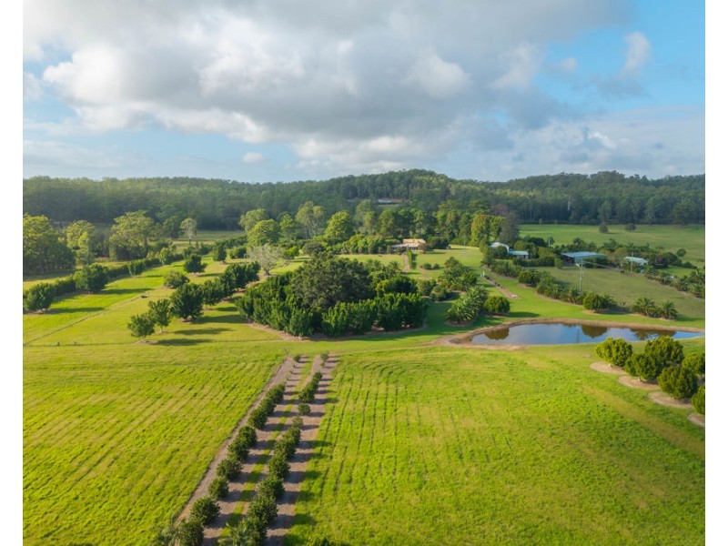 458 Farrawells Road, Telegraph Point NSW 2441