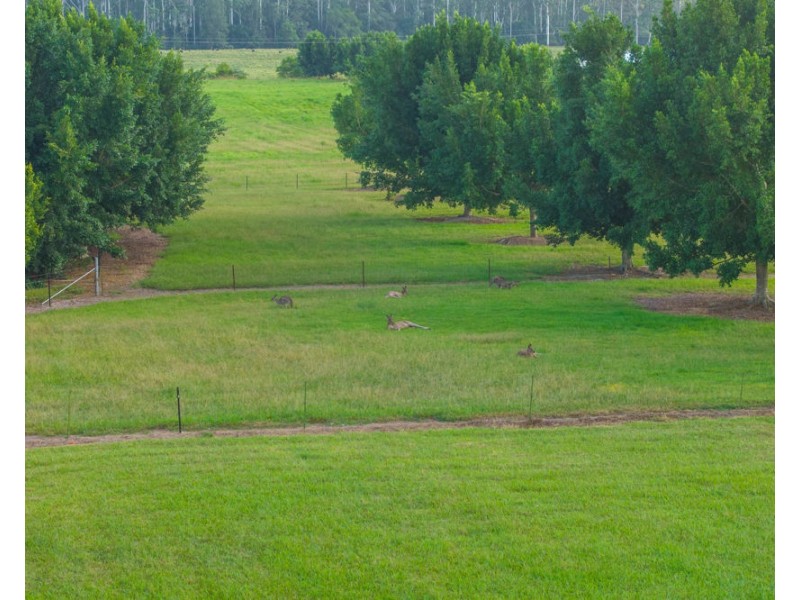 458 Farrawells Road, Telegraph Point NSW 2441