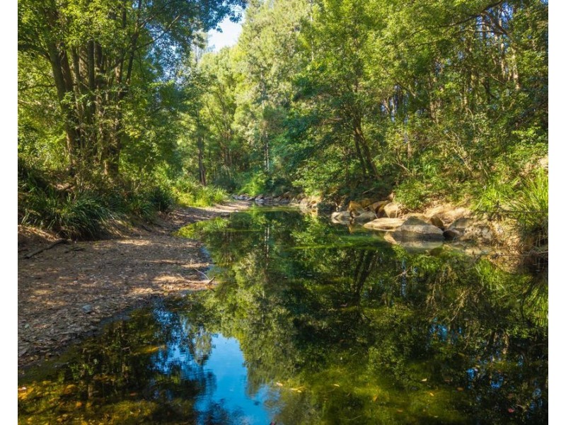 728 Misssabotti Road, Missabotti NSW 2449