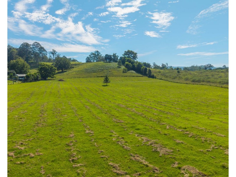 728 Misssabotti Road, Missabotti NSW 2449