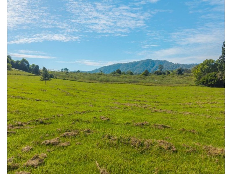 728 Misssabotti Road, Missabotti NSW 2449