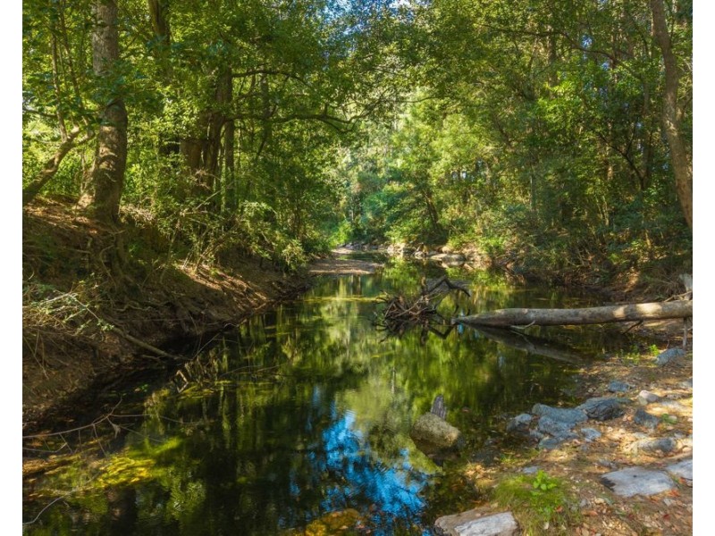 728 Misssabotti Road, Missabotti NSW 2449