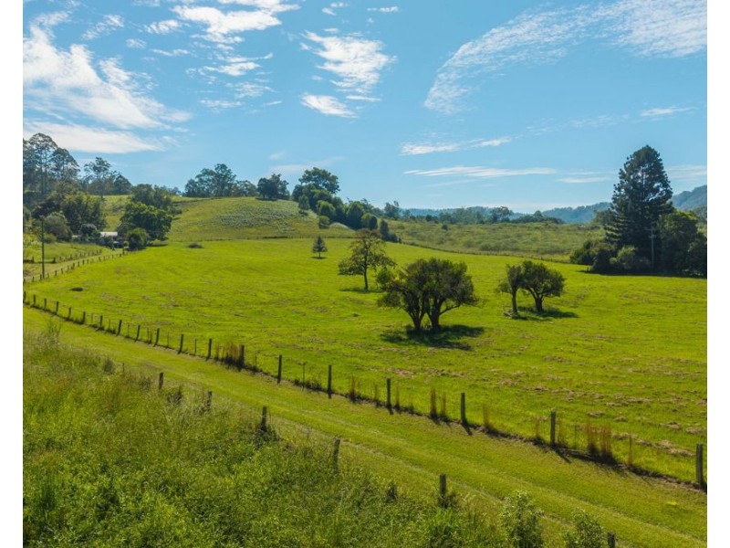 728 Misssabotti Road, Missabotti NSW 2449