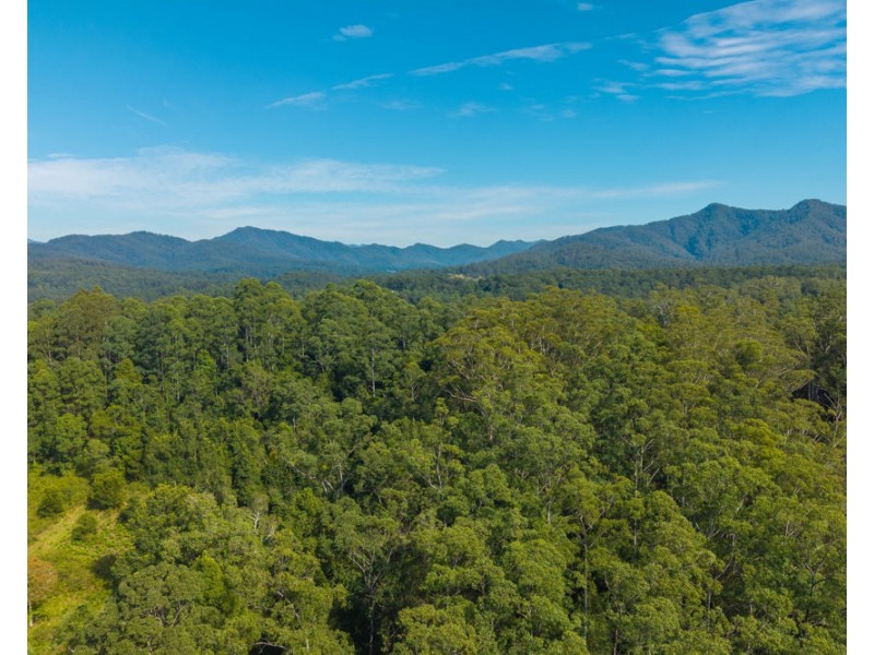 728 Misssabotti Road, Missabotti NSW 2449