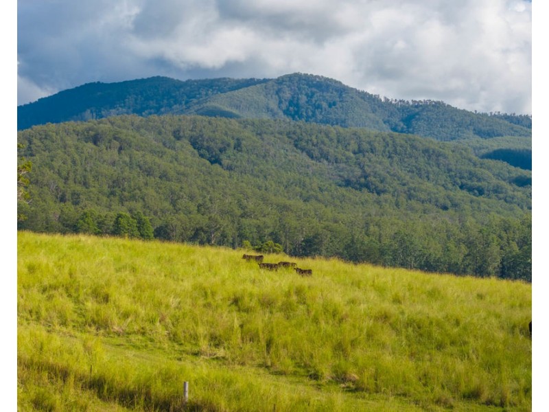 40 Ready Money Road, Upper Rollands Plains NSW 2441