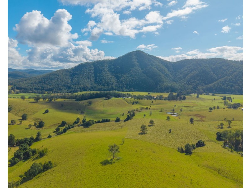 40 Ready Money Road, Upper Rollands Plains NSW 2441