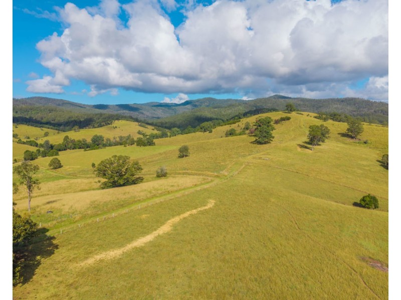 40 Ready Money Road, Upper Rollands Plains NSW 2441