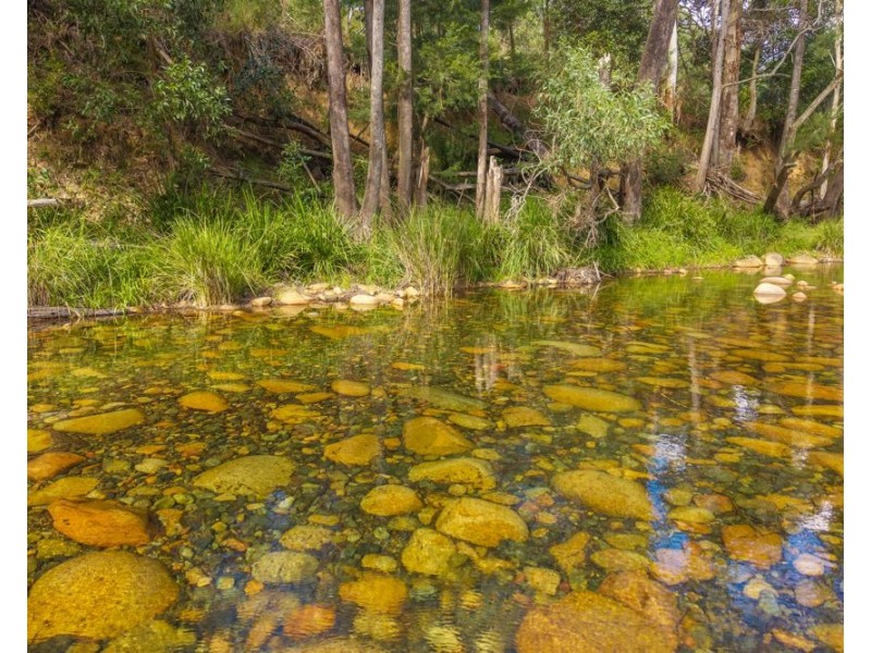 40 Ready Money Road, Upper Rollands Plains NSW 2441