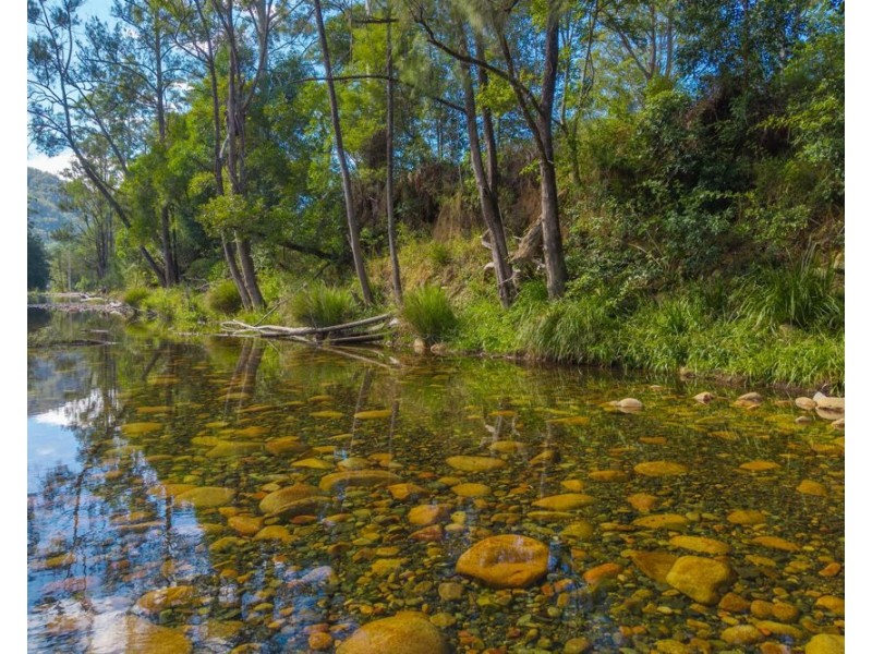 40 Ready Money Road, Upper Rollands Plains NSW 2441