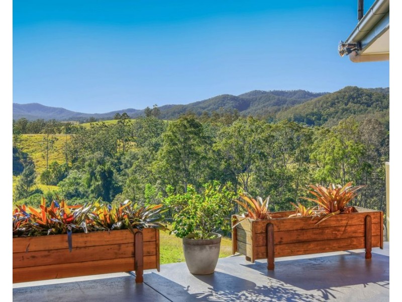 158 Hickeys Creek Road, Hickeys Creek NSW 2440