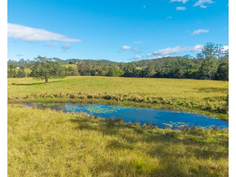 158 Hickeys Creek Road, Hickeys Creek NSW 2440