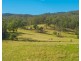 158 Hickeys Creek Road, Hickeys Creek NSW 2440