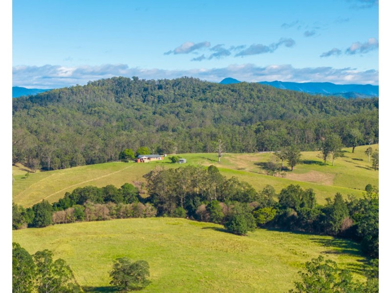 158 Hickeys Creek Road, Hickeys Creek NSW 2440