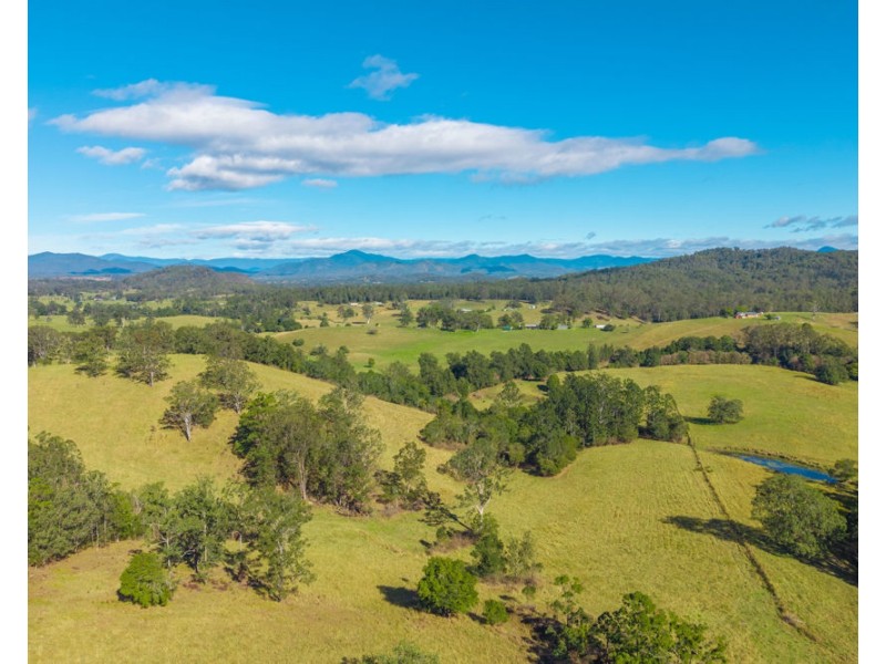 158 Hickeys Creek Road, Hickeys Creek NSW 2440
