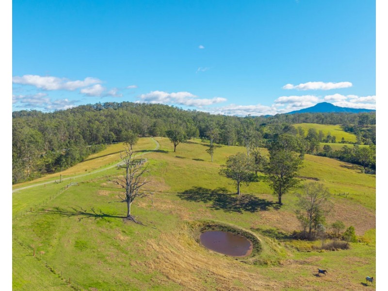 158 Hickeys Creek Road, Hickeys Creek NSW 2440