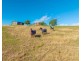 158 Hickeys Creek Road, Hickeys Creek NSW 2440