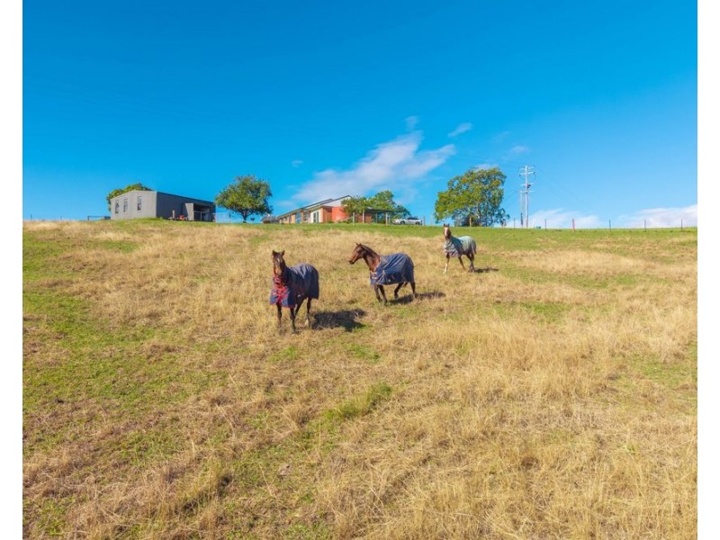 158 Hickeys Creek Road, Hickeys Creek NSW 2440