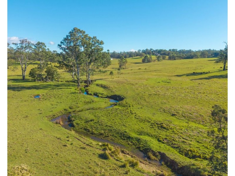 1995 Armidale Road, Willawarrin NSW 2440