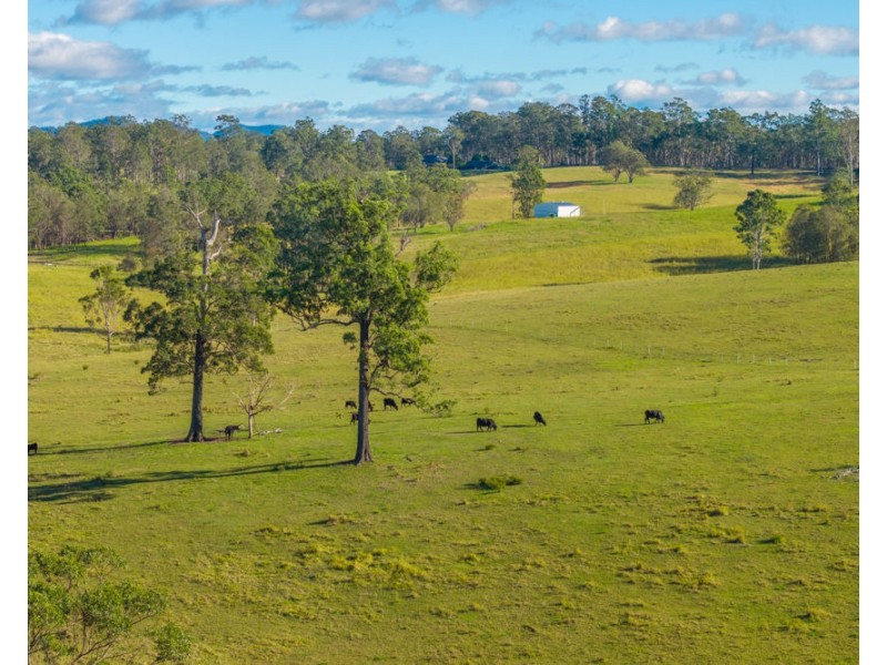 1995 Armidale Road, Willawarrin NSW 2440