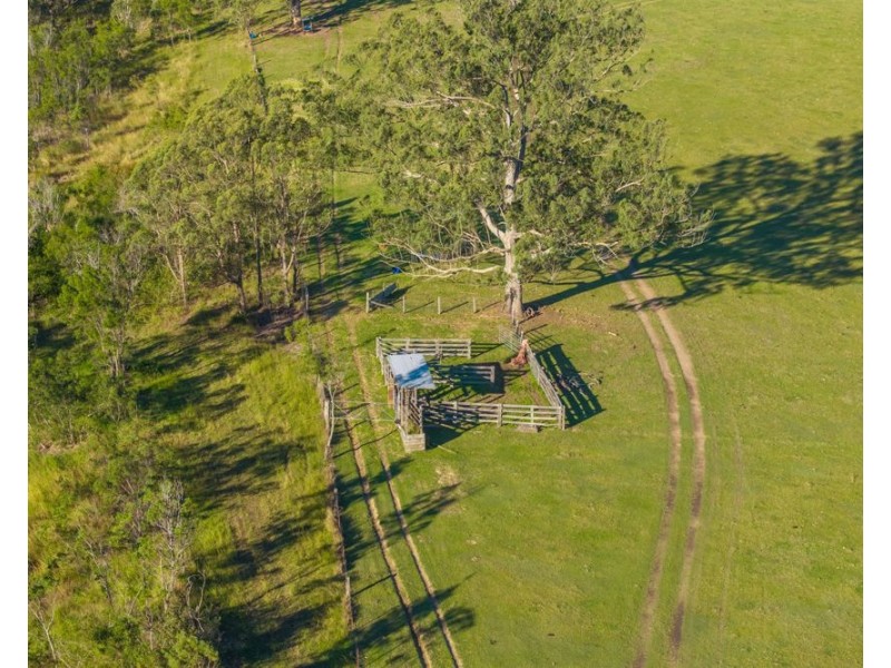 1995 Armidale Road, Willawarrin NSW 2440