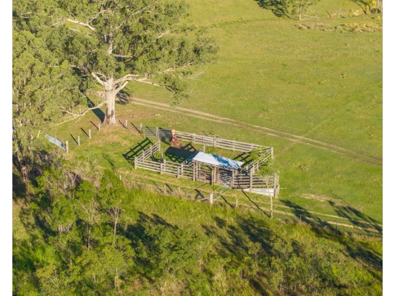 1995 Armidale Road, Willawarrin NSW 2440