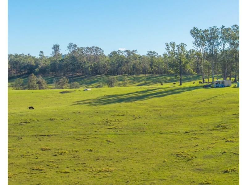 1995 Armidale Road, Willawarrin NSW 2440