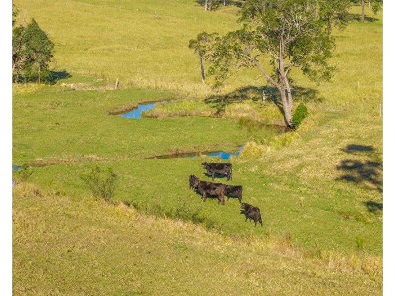 1995 Armidale Road, Willawarrin NSW 2440