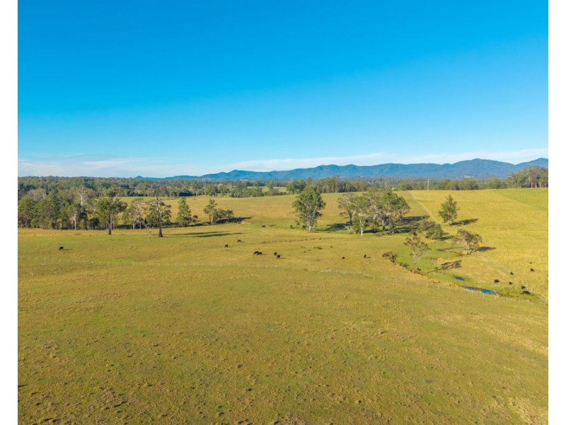 1995 Armidale Road, Willawarrin NSW 2440