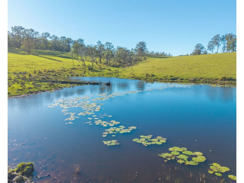 1995 Armidale Road, Willawarrin NSW 2440