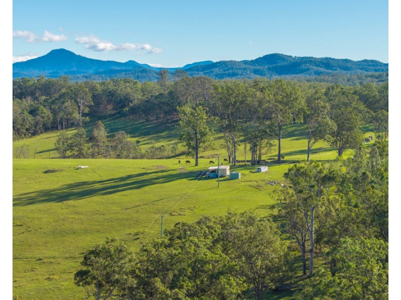 1995 Armidale Road, Willawarrin NSW 2440