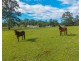 98 Misty Ridge, Bellangry NSW 2446