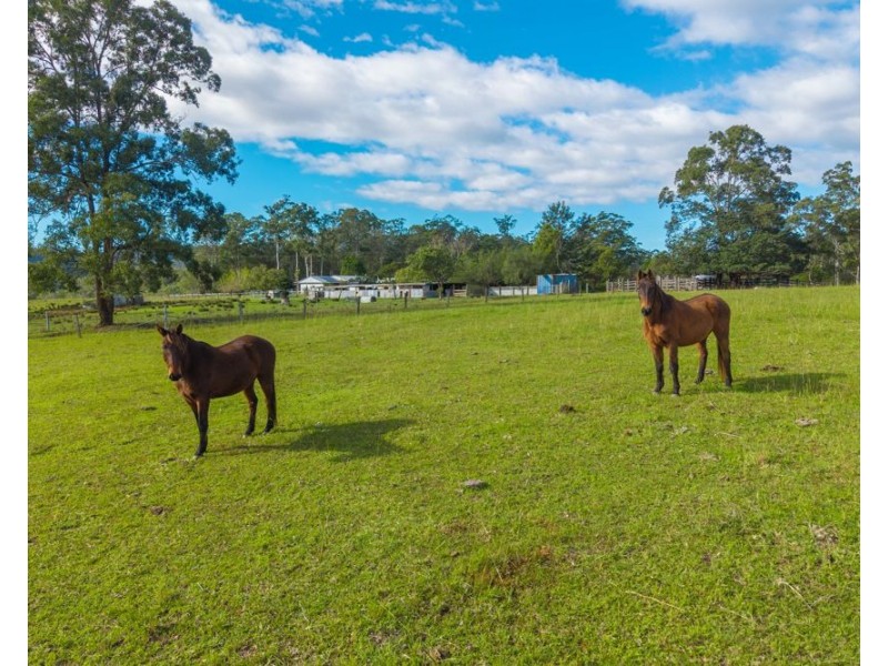 98 Misty Ridge, Bellangry NSW 2446