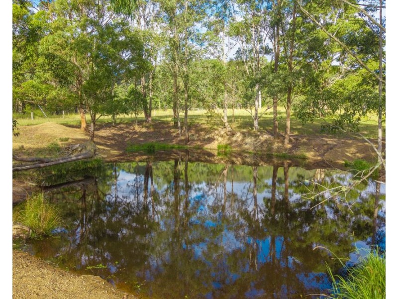 98 Misty Ridge, Bellangry NSW 2446
