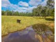 98 Misty Ridge, Bellangry NSW 2446