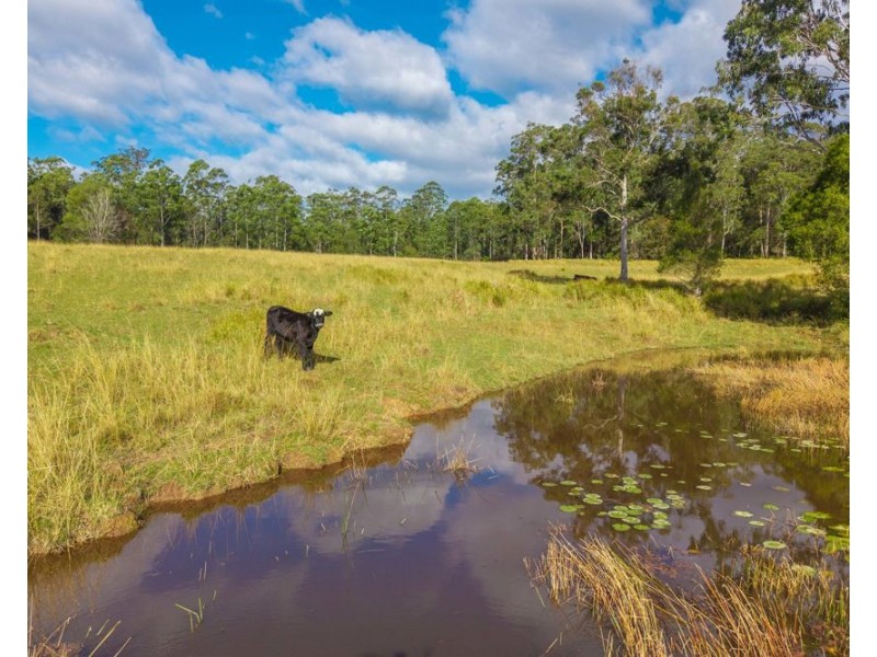 98 Misty Ridge, Bellangry NSW 2446