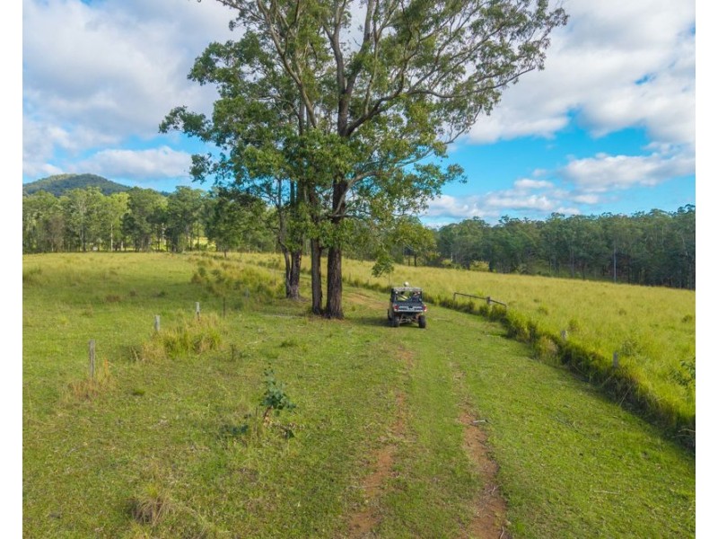 98 Misty Ridge, Bellangry NSW 2446