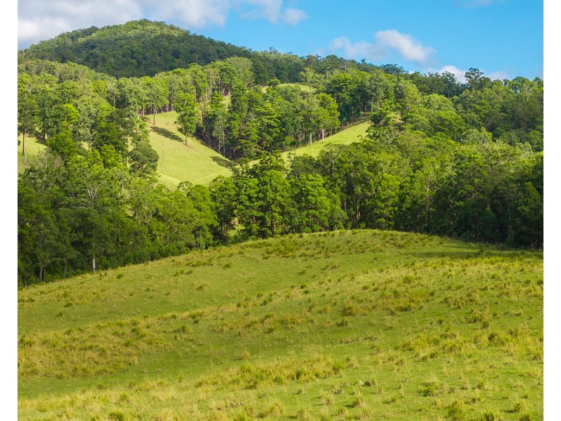 98 Misty Ridge, Bellangry NSW 2446
