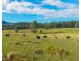 98 Misty Ridge, Bellangry NSW 2446