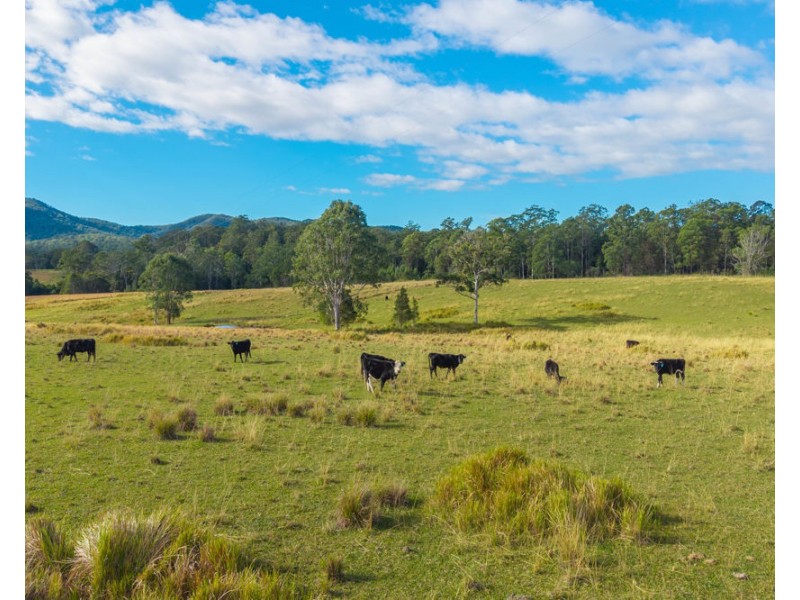 98 Misty Ridge, Bellangry NSW 2446