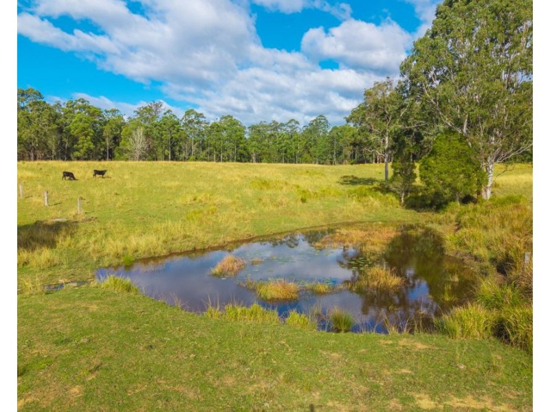 98 Misty Ridge, Bellangry NSW 2446