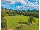 98 Misty Ridge, Bellangry NSW 2446